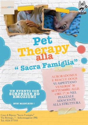 PET THERAPY PICC