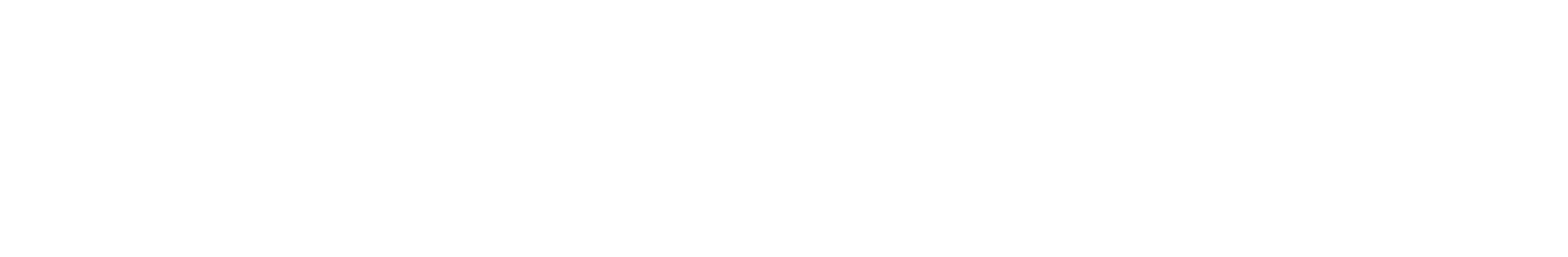 Auroradomus