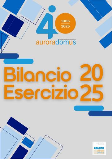 Bilancio economico 2025 ed. 2026