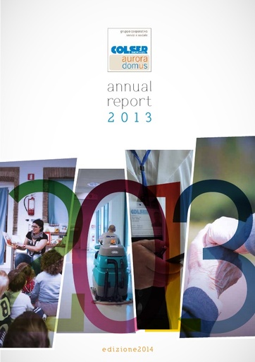 Annual Report 2013